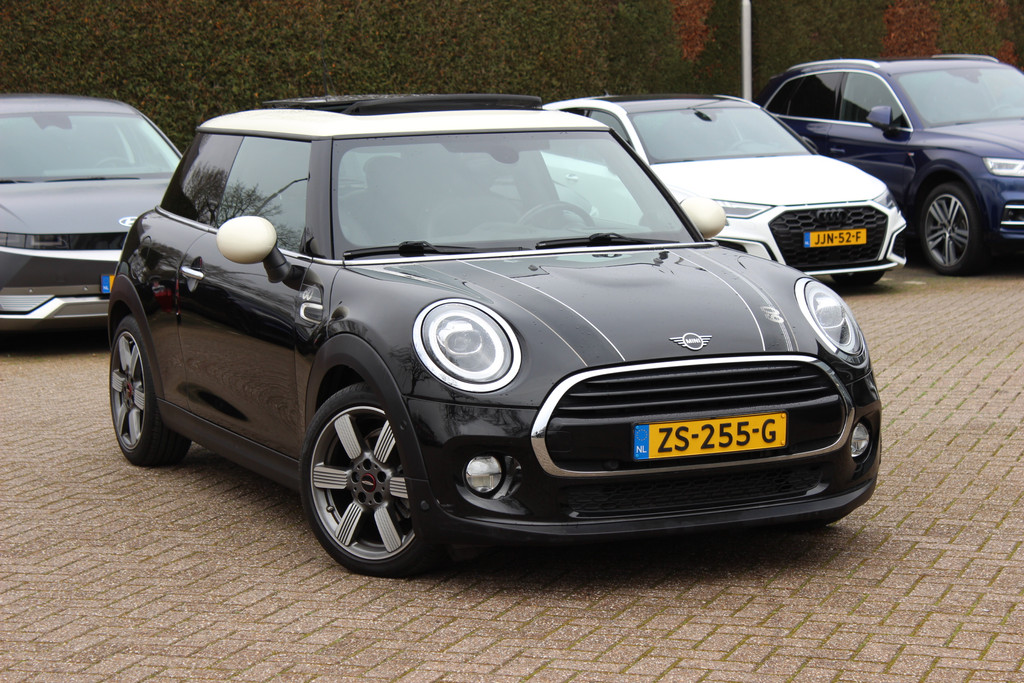 MINI Mini  53624843-0.jpg | laumen-kok